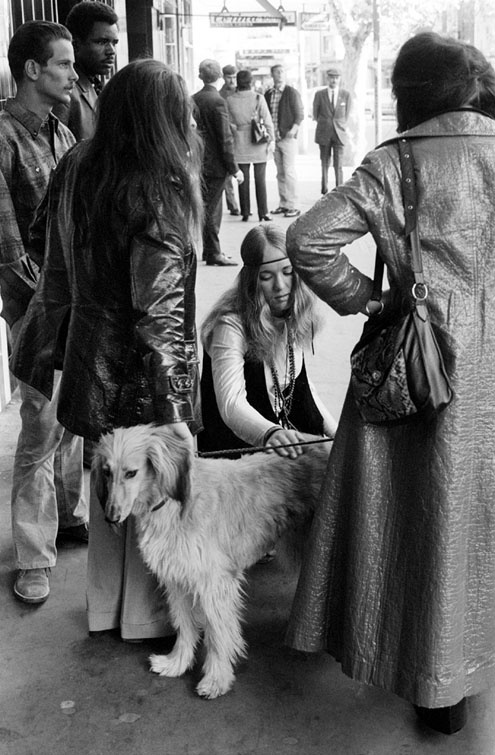 Patting the Dog, Kings Cross 1970-71