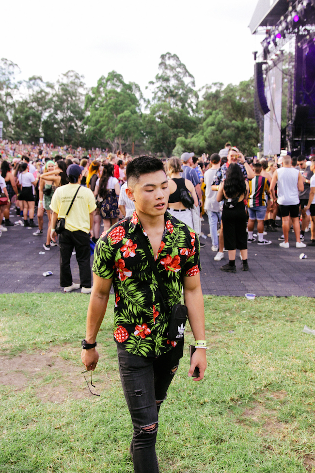 THE CUT | FOMO FESTIVAL 2019